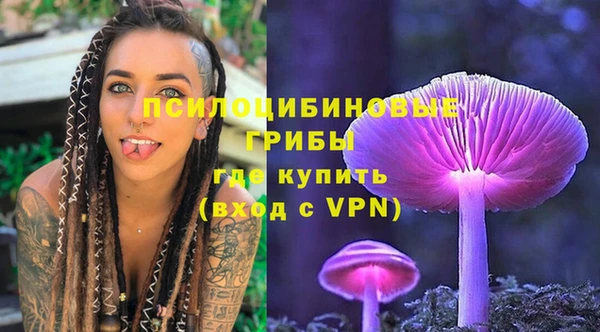 а пвп мука Гусев