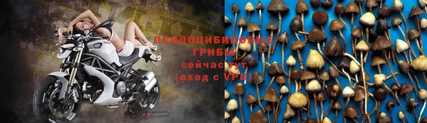 а пвп мука Гусев