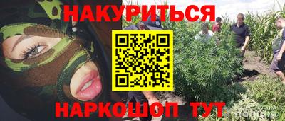 крисы Аргун