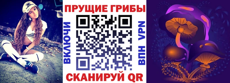 Псилоцибиновые грибы Psilocybine cubensis  Мценск 