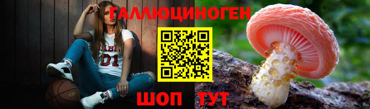 где купить наркоту  Псилоцибиновые грибы MAGIC MUSHROOMS  Вход с VPN  Мценск 