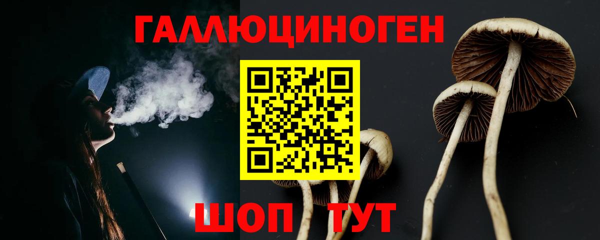 Галлюциногенные грибы Cubensis Мценск